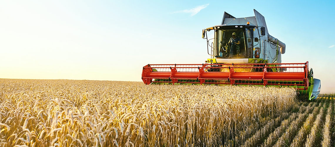Nous vivons la pire crise alimentaire de la décennie et les restrictions au commerce international l’aggravent